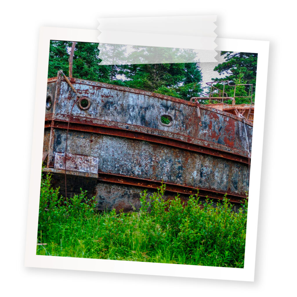 A polaroid of an abandoned rusty ship in the forest on Fort George island.